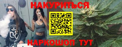стаф Можга