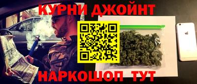 стаф Можга
