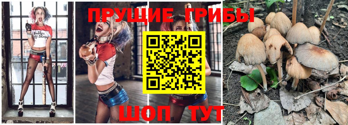 Псилоцибиновые грибы MAGIC MUSHROOMS  Псилоцибиновые грибы мицелий  Вход с VPN  Сухой Лог 